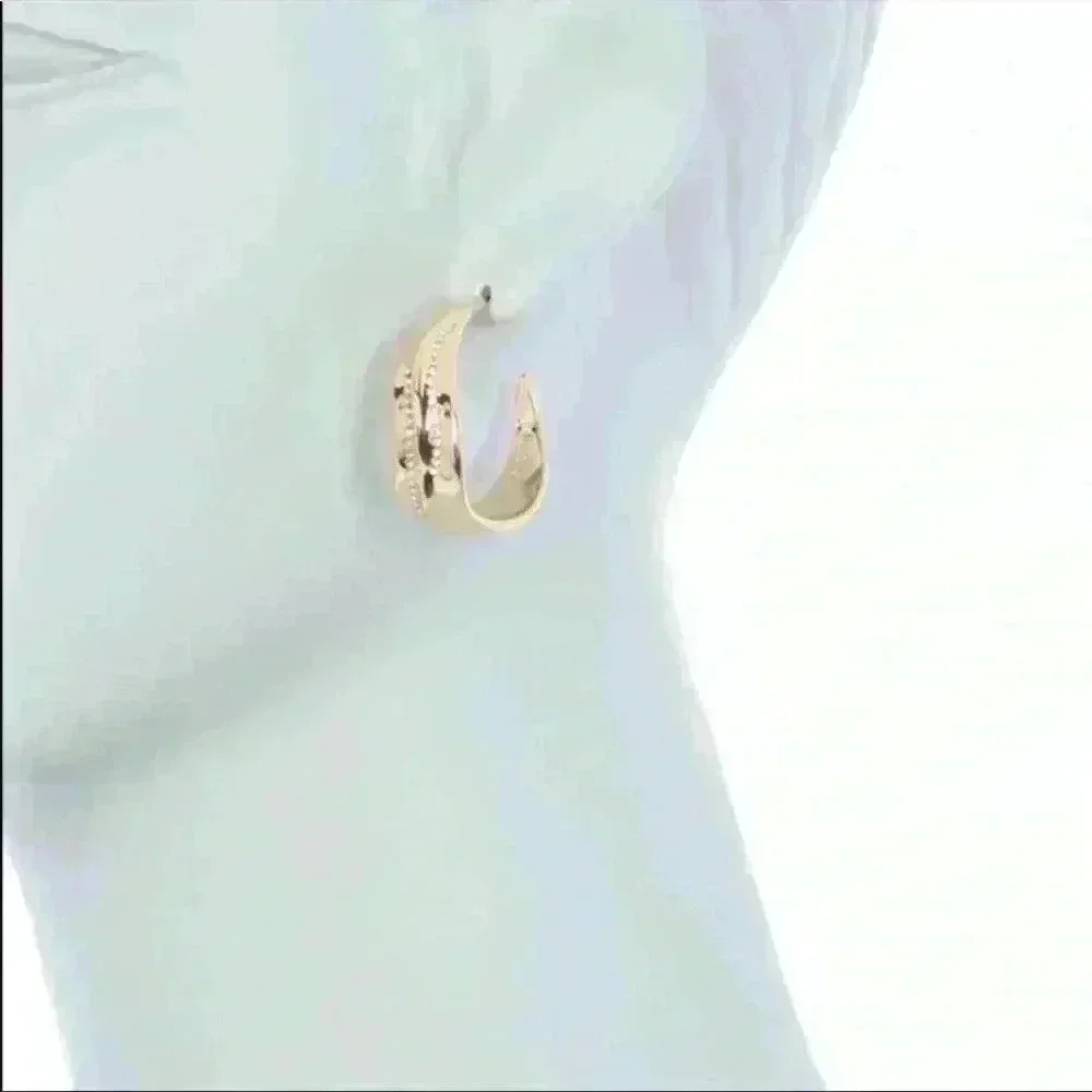 Carolee Iris Gold-Tone Plates Sterling Silver Pave Stone Hoop Earrings NWT